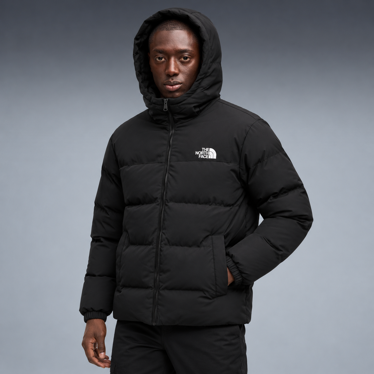 fd-gen yp-the-north-face-hooded-puffer-jacket-97594--black tres-quartos