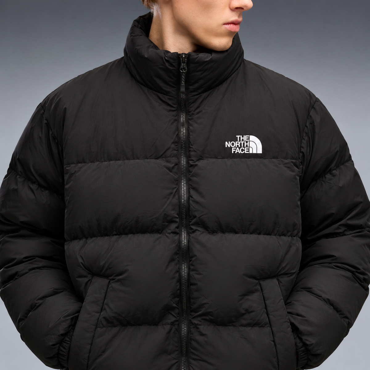 fd-gen yp-the-north-face-stand-collar-puffer-jacket-97598--black detalhe-peito